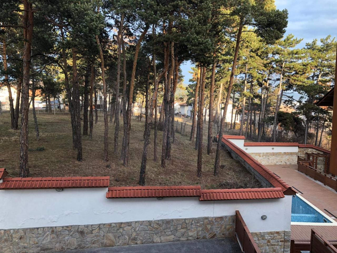 Апартамент "Forest View" В Комплекс "Вели Хилс" Βέλινγκραντ Εξωτερικό φωτογραφία